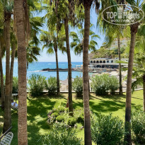 фото из отзыва ID 2734419