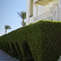 фото из отзыва ID 2737183