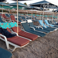 фото из отзыва ID 2737195