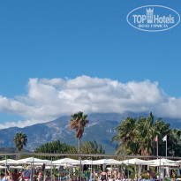 фото из отзыва ID 2737195