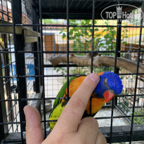 фото из отзыва ID 2737211