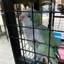 фото из отзыва ID 2737211