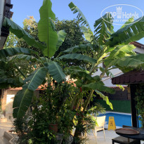 фото из отзыва ID 2737211