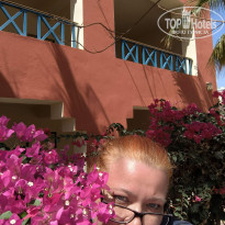 фото из отзыва ID 2737202