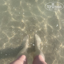 фото из отзыва ID 2737292