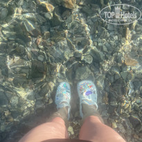 фото из отзыва ID 2737292