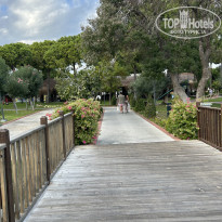 фото из отзыва ID 2737311