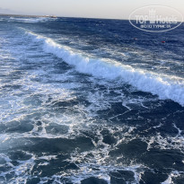 фото из отзыва ID 2737322