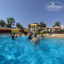 фото из отзыва ID 2737334