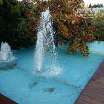 фото из отзыва ID 2737343