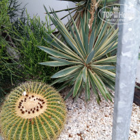 фото из отзыва ID 2737343