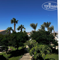 фото из отзыва ID 2737349