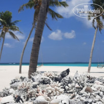 фото из отзыва ID 2737361