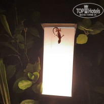 фото из отзыва ID 2737361