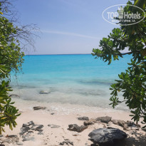 фото из отзыва ID 2737361