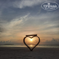 фото из отзыва ID 2737361