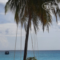 фото из отзыва ID 2737361