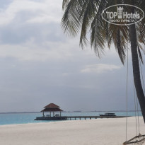 фото из отзыва ID 2737361