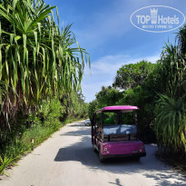 фото из отзыва ID 2737361