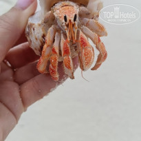 фото из отзыва ID 2737361