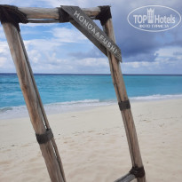 фото из отзыва ID 2737361