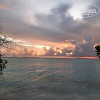 фото из отзыва ID 2737361