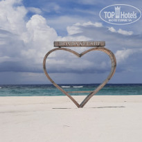 фото из отзыва ID 2737361