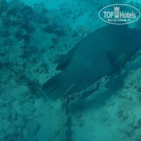 фото из отзыва ID 2737376