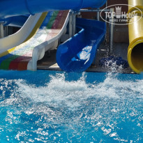 фото из отзыва ID 2737377