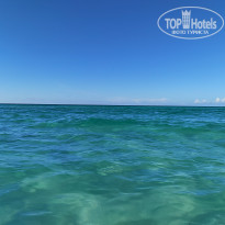 фото из отзыва ID 2737375