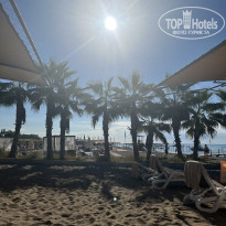 фото из отзыва ID 2737399