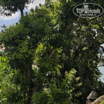 фото из отзыва ID 2736945