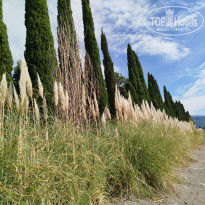 фото из отзыва ID 2737426