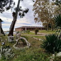 фото из отзыва ID 2737426