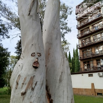 фото из отзыва ID 2737426