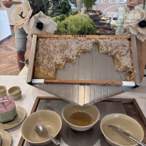 фото из отзыва ID 2737432