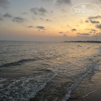 фото из отзыва ID 2737440