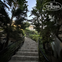 фото из отзыва ID 2737450