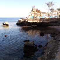 фото из отзыва ID 2737451