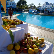 фото из отзыва ID 2737451