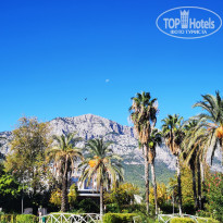 фото из отзыва ID 2737445