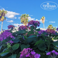 фото из отзыва ID 2737445