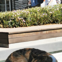 фото из отзыва ID 2737445