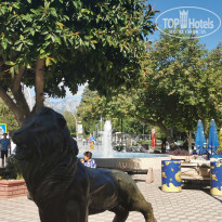 фото из отзыва ID 2737445