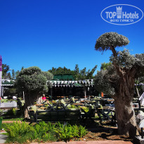 фото из отзыва ID 2737445