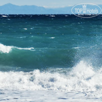 фото из отзыва ID 2737445