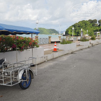 фото из отзыва ID 2736945