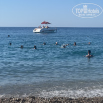 фото из отзыва ID 2737471