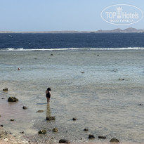 фото из отзыва ID 2737476