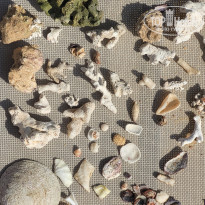 фото из отзыва ID 2737460